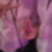 ヒメ日記 2026/07/13 16:24 投稿 なな みつばちマーヤZ