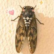 ヒメ日記 2026/08/13 17:28 投稿 白石和葉(かづは) 東京不倫～とうきょうふりん～
