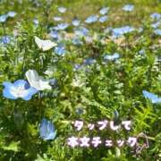 ヒメ日記 2026/07/29 22:30 投稿 さら♡未経験の尽くし上手 富山インターちゃんこ