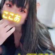 ヒメ日記 2026/06/27 20:15 投稿 ★ここあ Le CELINU（ル・セリーヌ）
