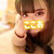 ヒメ日記 2026/06/28 19:30 投稿 ★ここあ Le CELINU（ル・セリーヌ）