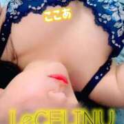 ヒメ日記 2026/07/02 06:15 投稿 ★ここあ Le CELINU（ル・セリーヌ）