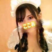 ★ここあ |ω･)ﾁﾗ Le CELINU（ル・セリーヌ）