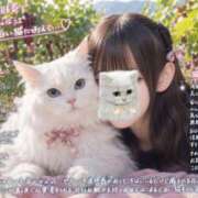 ヒメ日記 2026/09/30 15:30 投稿 しずか マリアージュ大宮