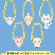 ヒメ日記 2026/10/07 13:30 投稿 しずか マリアージュ大宮
