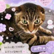 あずき 本来なら交わらなかった2人の出会い 千葉柏ちゃんこ