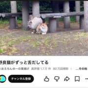 ヒメ日記 2026/06/25 14:00 投稿 ウユ ファーストレディー