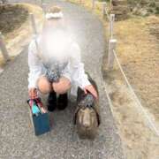 ヒメ日記 2026/09/12 08:04 投稿 陽菜【ヒナ】 club MARIA(大阪)