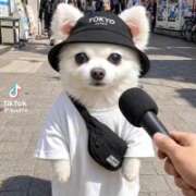 ヒメ日記 2026/08/04 13:13 投稿 流川【るかわ】 丸妻 西船橋店