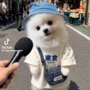 ヒメ日記 2026/08/04 22:42 投稿 流川【るかわ】 丸妻 西船橋店
