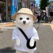 ヒメ日記 2026/08/05 18:26 投稿 流川【るかわ】 丸妻 西船橋店