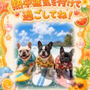 ヒメ日記 2026/08/08 10:16 投稿 流川【るかわ】 丸妻 西船橋店