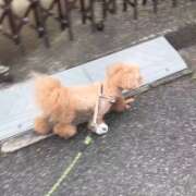 ヒメ日記 2026/08/21 13:24 投稿 流川【るかわ】 丸妻 西船橋店