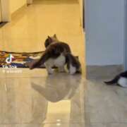 ヒメ日記 2026/09/14 12:19 投稿 流川【るかわ】 丸妻 西船橋店