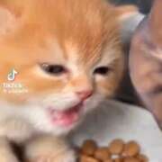 ヒメ日記 2026/09/30 12:46 投稿 流川【るかわ】 丸妻 西船橋店