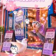 ヒメ日記 2026/09/30 13:48 投稿 流川【るかわ】 丸妻 西船橋店