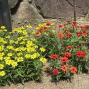 ヒメ日記 2026/07/20 09:01 投稿 芹沢 すず 大奥 難波店