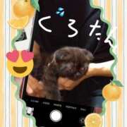 ヒメ日記 2026/08/22 17:53 投稿 萩原 錦糸町おかあさん