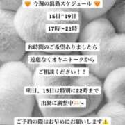 ヒメ日記 2026/07/15 22:38 投稿 西島しおり ヌルテカ