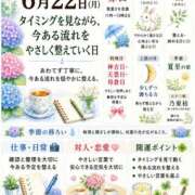 ヒメ日記 2026/06/22 06:20 投稿 世良遥 五十路マダム静岡店（カサブランカG）