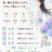 ヒメ日記 2026/06/24 05:00 投稿 世良遥 五十路マダム静岡店（カサブランカG）