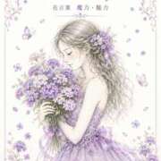 世良遥 今日のお花? 五十路マダム静岡店（カサブランカG）