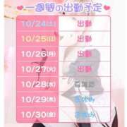 ヒメ日記 2026/10/24 09:06 投稿 なの ドリーム水戸