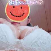 ヒメ日記 2026/07/11 11:49 投稿 やなぎ 豊満奉仕倶楽部