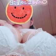ヒメ日記 2026/07/11 11:50 投稿 やなぎ 人妻熟女奉仕倶楽部