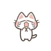 メイ おやすみ(  .  ̫ .  ) ファーストレディー