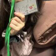 おうか 帰りました みつらん鉄道