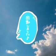 ヒメ日記 2026/06/29 18:31 投稿 水野　めい ギン妻パラダイス 日本橋店