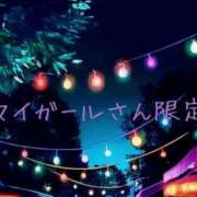 ヒメ日記 2026/06/29 19:02 投稿 水野　めい ギン妻パラダイス 日本橋店