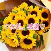ヒメ日記 2026/08/20 15:30 投稿 ひかる Beppin house