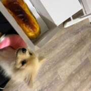じゅな 大っきい///// SAPPORO ばつぐんnet