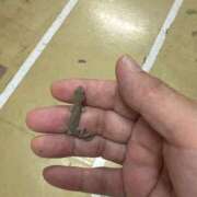 ヒメ日記 2026/07/07 02:06 投稿 本田 熟女待機所 厚木店