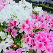 ヒメ日記 2026/06/23 08:49 投稿 よしの AVANCE福岡