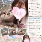 ことは ぜひ会いに♡ 池袋あられ
