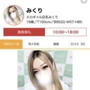ヒメ日記 2026/09/29 17:53 投稿 みくり ピンキーエコ