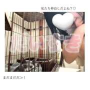 ヒメ日記 2026/09/07 22:48 投稿 ゆうか ハピネス＆ドリーム 松山道後温泉