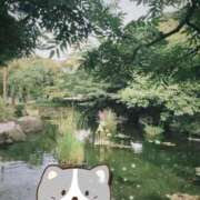 ヒメ日記 2026/08/26 20:41 投稿 未央 昼顔妻 五反田店