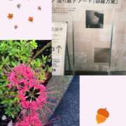 ヒメ日記 2026/09/19 21:01 投稿 未央 昼顔妻 五反田店