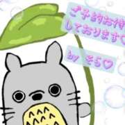 ヒメ日記 2026/07/16 20:56 投稿 そら 愛知弥富ちゃんこ