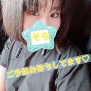 ヒメ日記 2026/09/01 11:41 投稿 そら 愛知弥富ちゃんこ