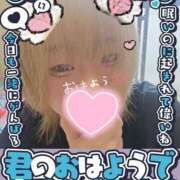 ヒメ日記 2026/09/11 12:22 投稿 べりたん りんくう泉佐野ちゃんこ