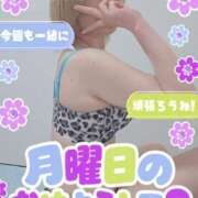 ヒメ日記 2026/10/12 12:03 投稿 べりたん りんくう泉佐野ちゃんこ