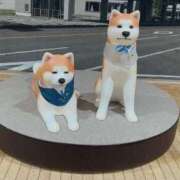 ヒメ日記 2026/08/31 01:14 投稿 小鳥遊　とき OLセレクション宇都宮店