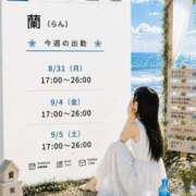 ヒメ日記 2026/09/04 12:27 投稿 蘭（らん） そらいろ
