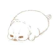 ヒメ日記 2026/06/26 21:15 投稿 ゆいな Delyz（デリーズ）