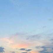 ヒメ日記 2026/08/04 09:13 投稿 めい 丸妻 横浜本店